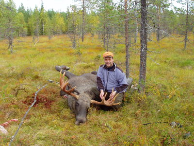 Klicka på bilden för att se den i fullstorlek