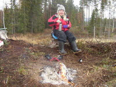 Klicka på bilden för att se den i fullstorlek